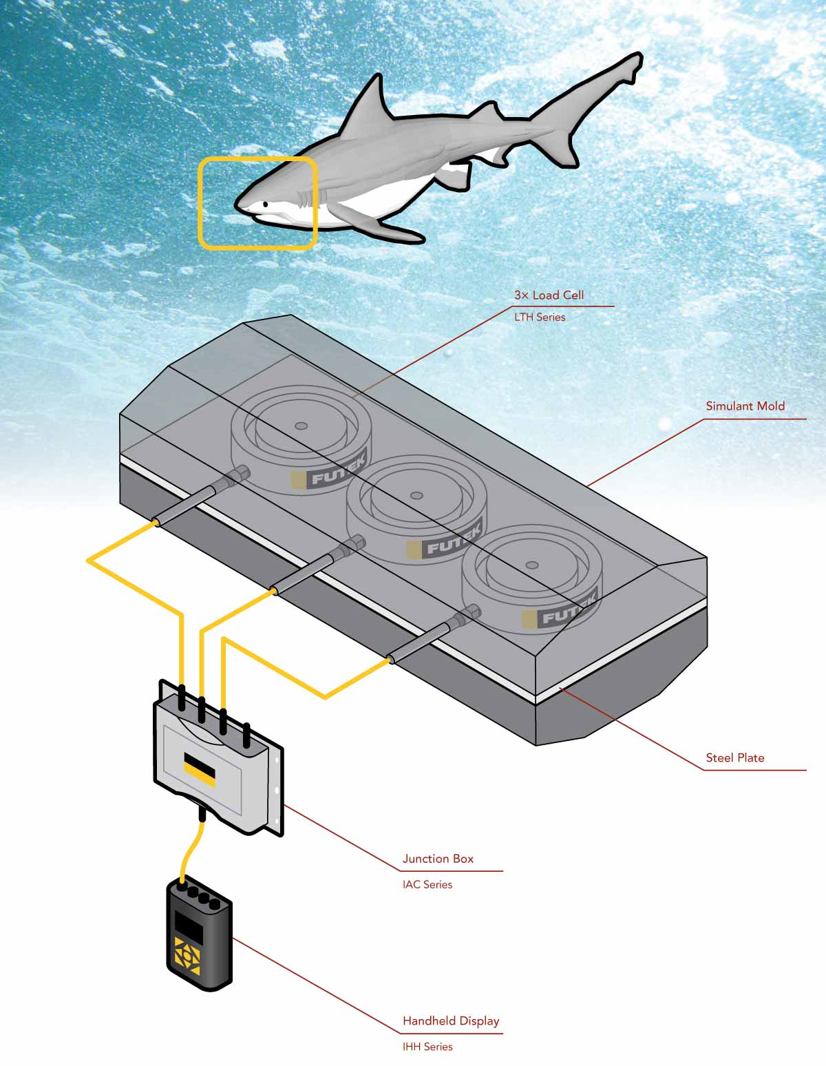 Shark Bite Force Measurement